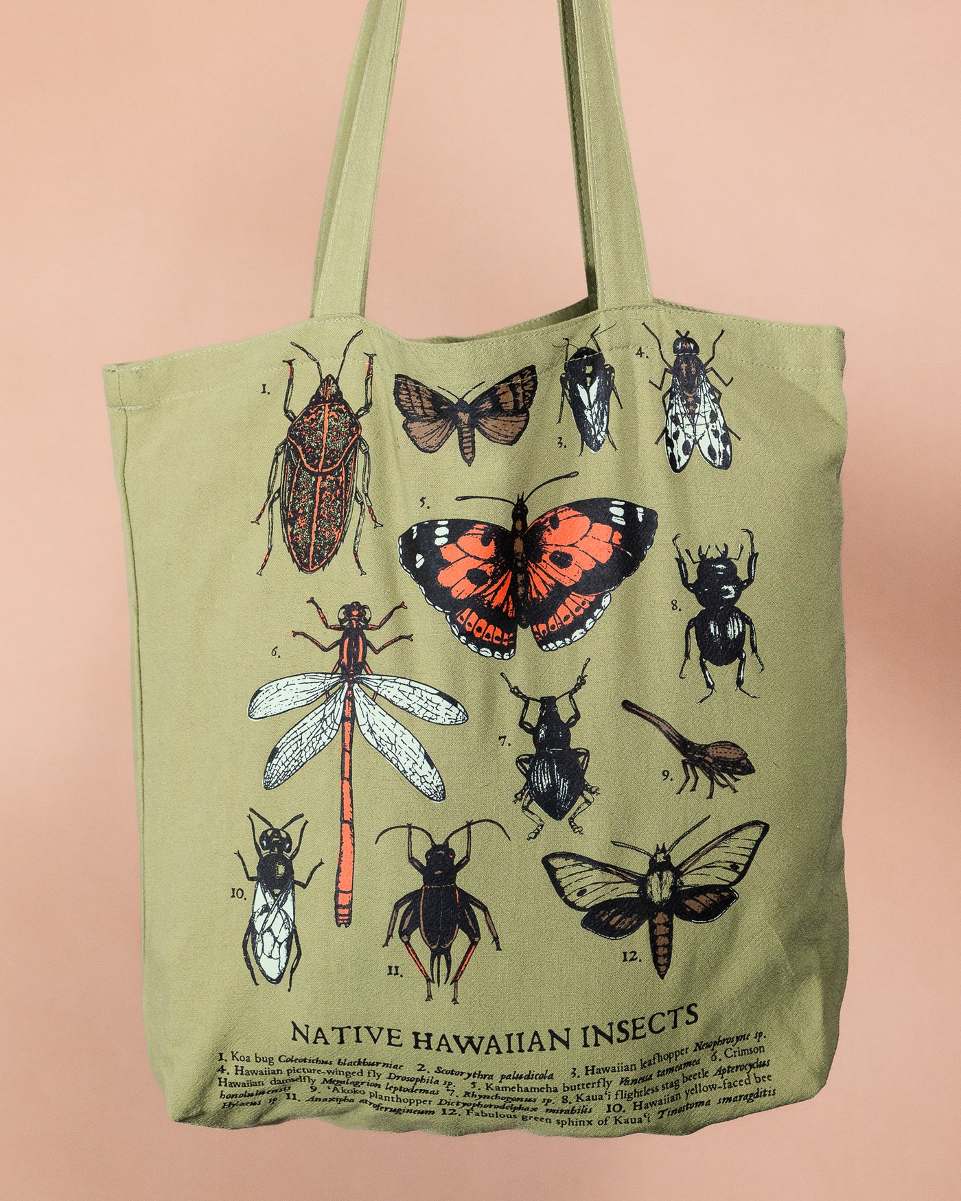Green tote bag with illustrations of native Hawaiian insects on a peach background