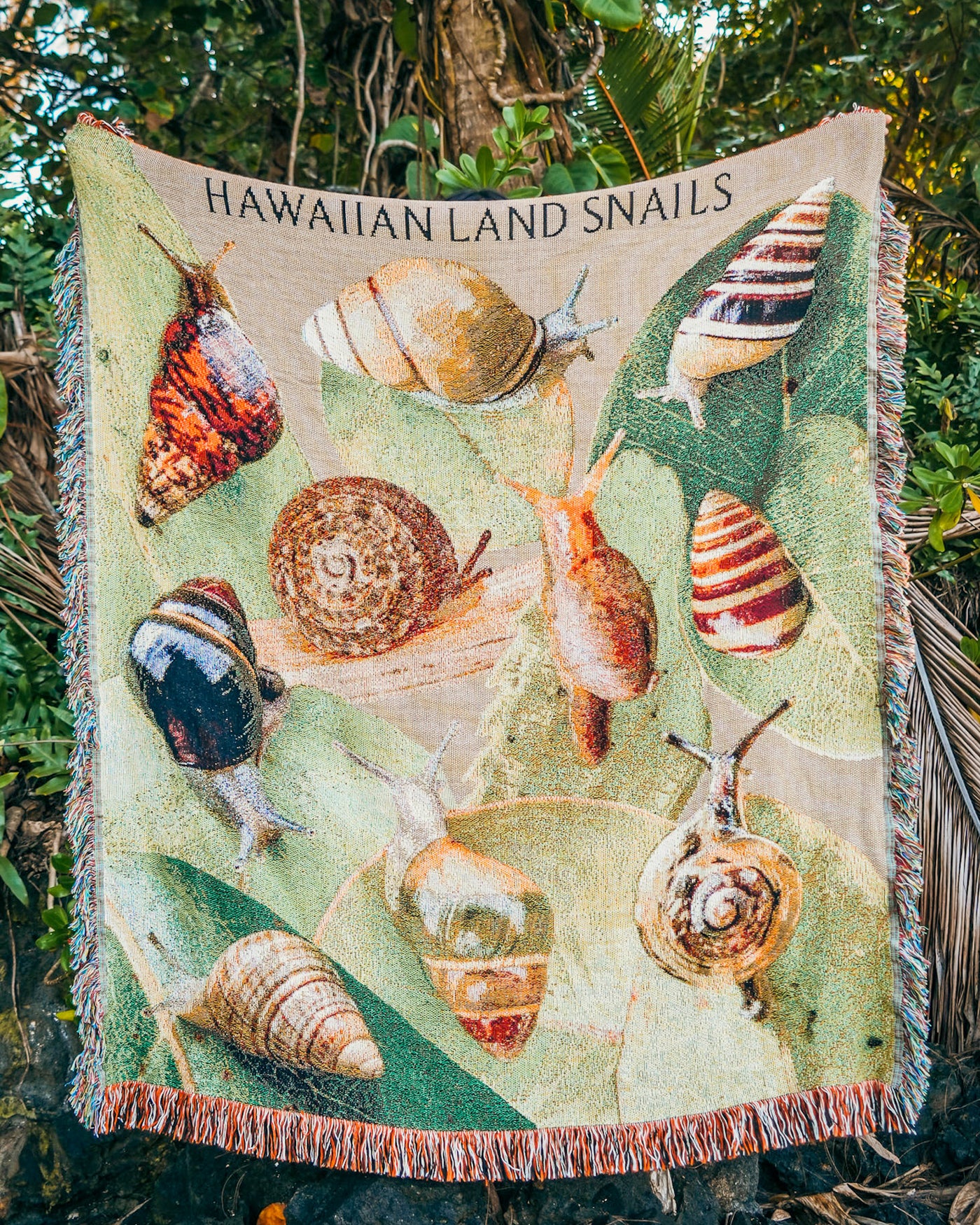 Hawaiian Land Snails Blanket