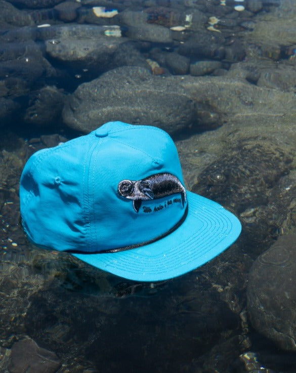 Hawaiian Monk Seal Hat. Made from quick dry recycled blue nylon. Perfect for outdoor adventures.