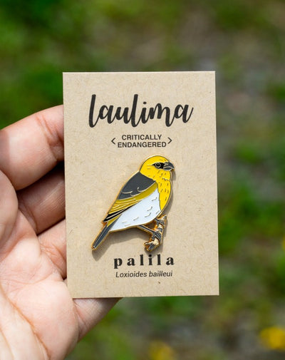 Palila Pin featuring the critically endangered Hawaiian honeycreeper that is found only on the slopes of Mauna Kea. Our gold enamel pins represent Hawaiian wildlife and advocate for their conservation.
