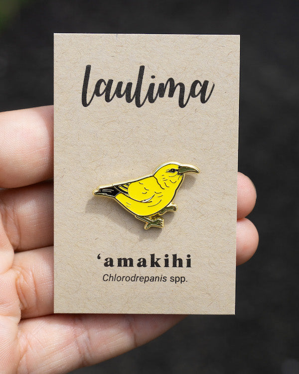 ʻAmakihi Pin