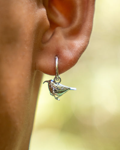 ʻIʻiwi Earrings | Silver