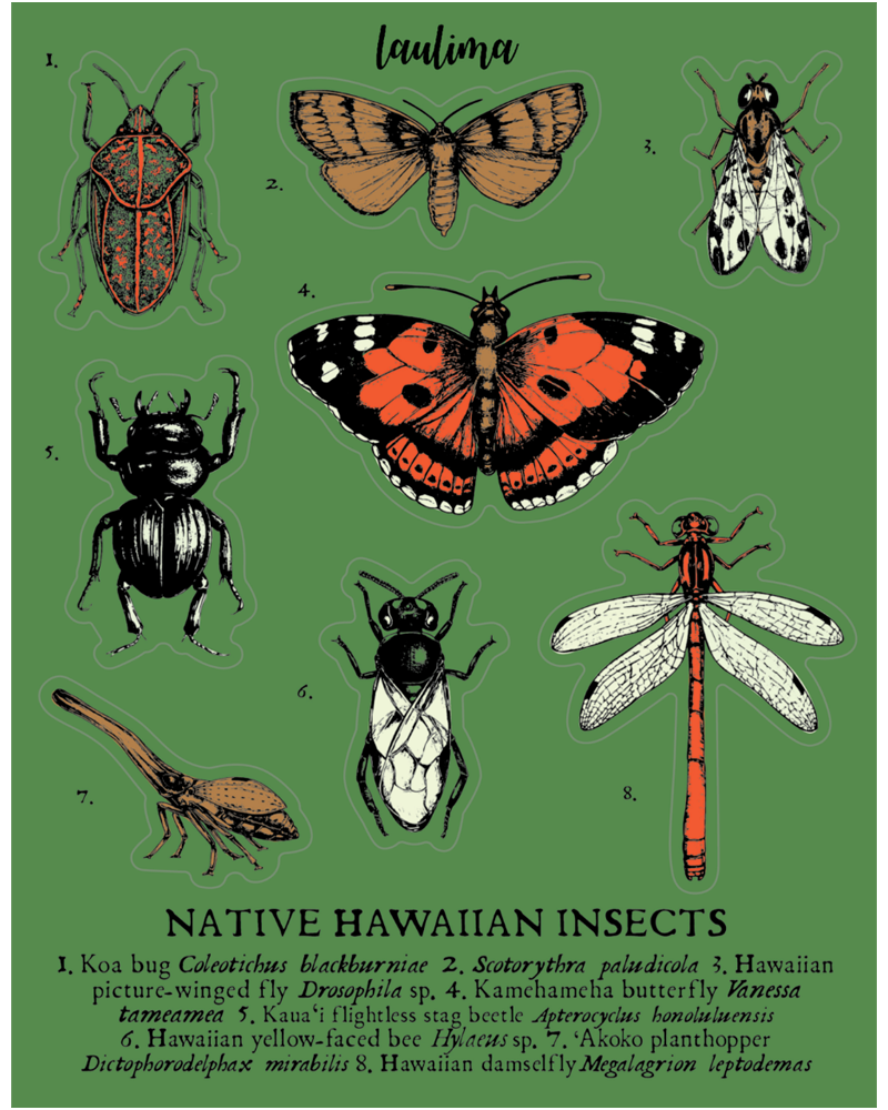 Bug Sticker Sheet