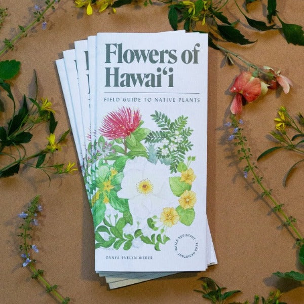 Hawaiian Flowers field guide. Folding educational brochure with native hawaiian plants. Hawaii hiking nature guide.