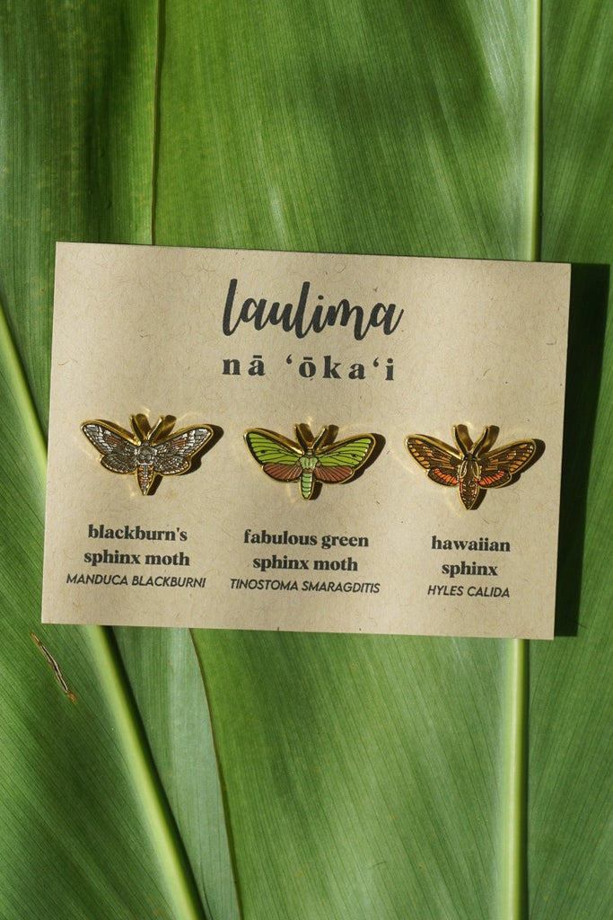 Hawaiian Sphinx Moth Pin Set – Laulima - Main Image