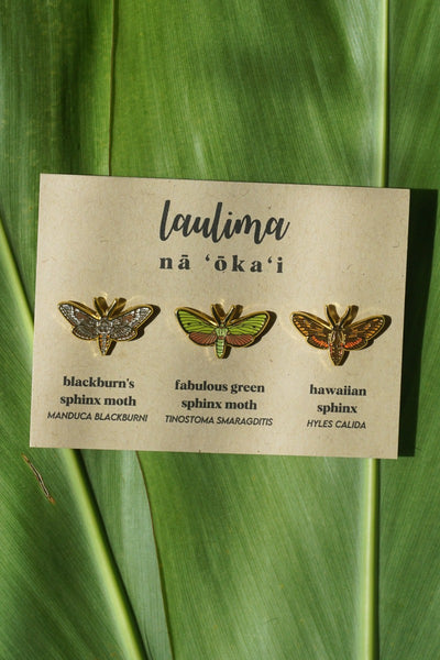 Hawaiian moth pin set. Gold enamel 1" pins.