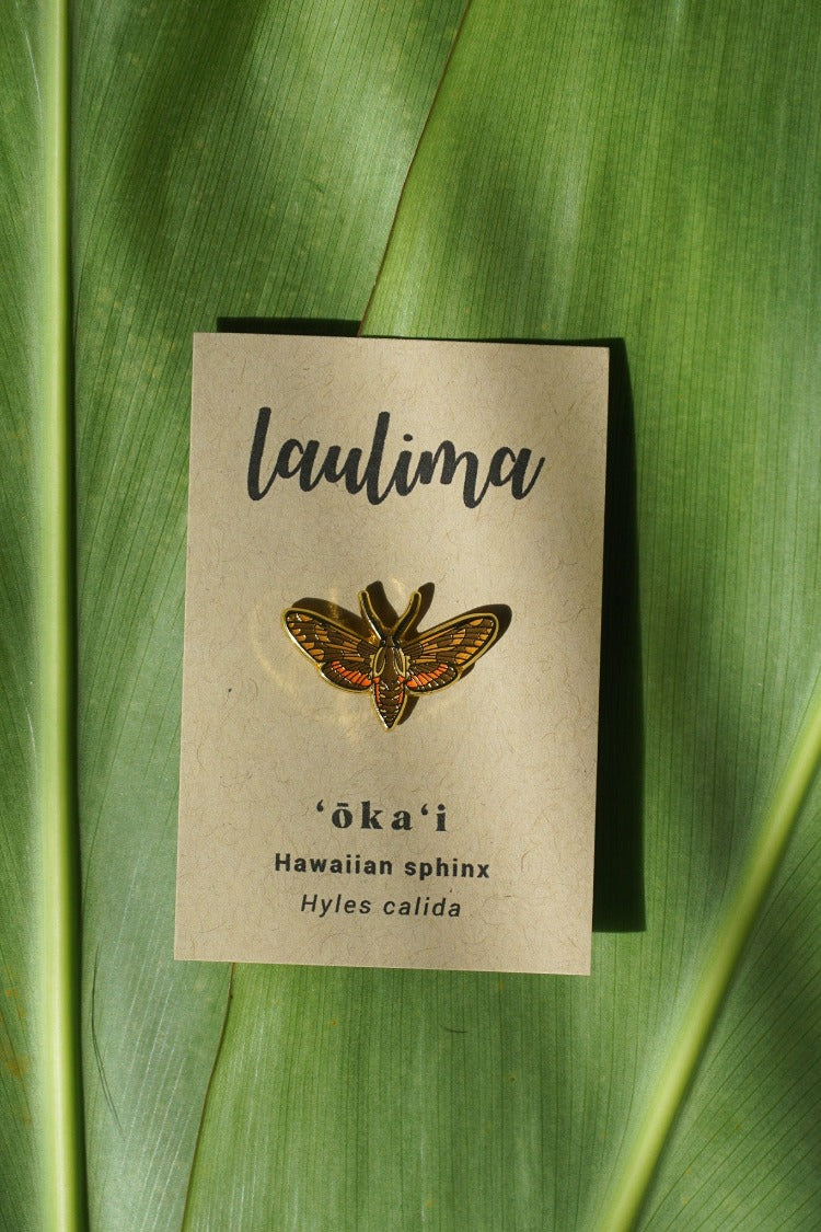 The Hawaiian sphinx is an endemic moth that feeds on plants in the coffee family. Gold enamel 1" nature pin.