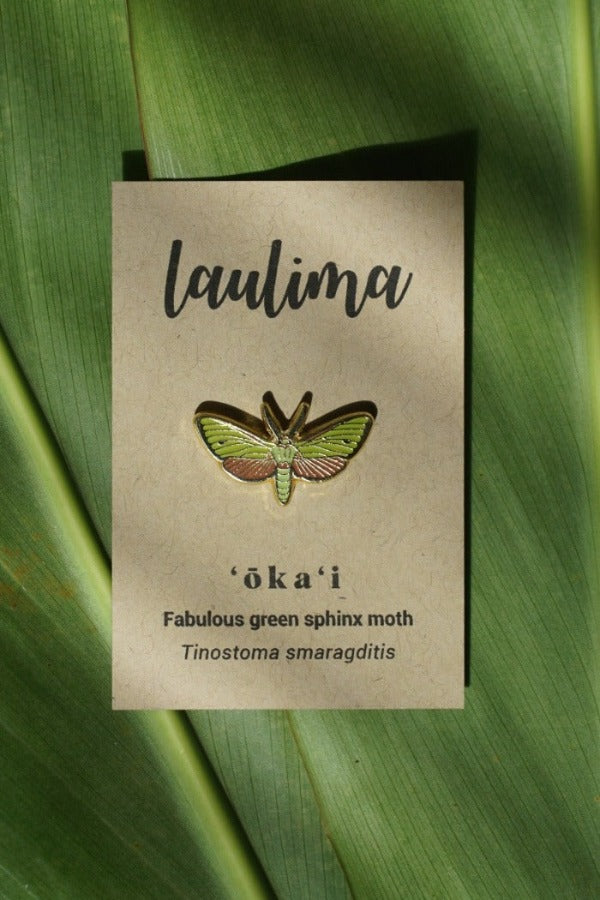 Fabulous green sphinx moth of Kauai. Rare Hawaiian moth. Gold enamel pin.