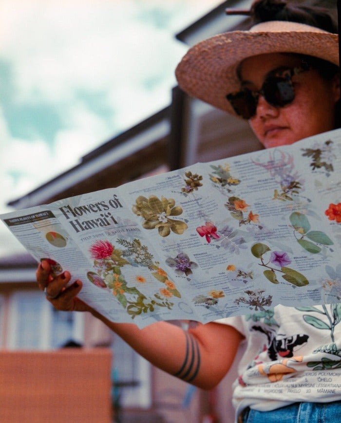 Hawaiian Flowers field guide. Folding educational brochure with native hawaiian plants.