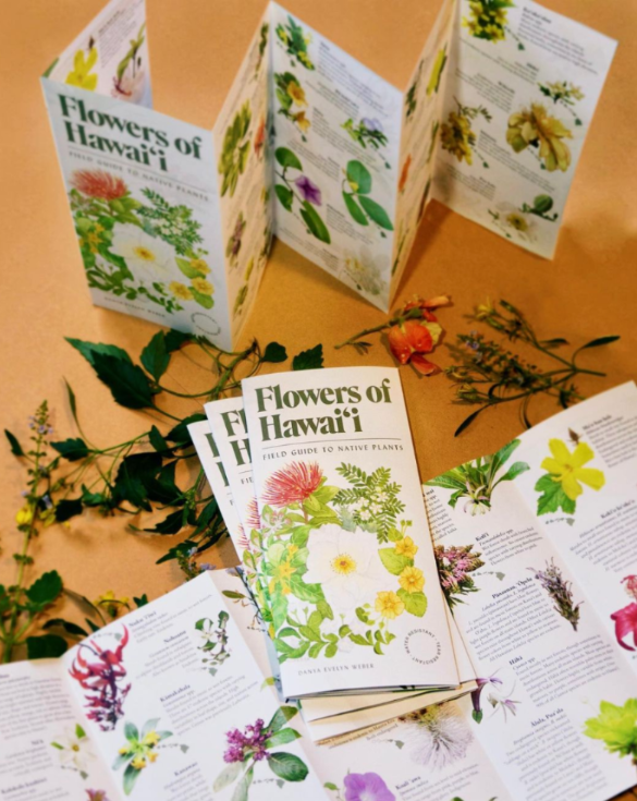 Hawaiian Flowers field guide. Folding educational brochure with native hawaiian plants.