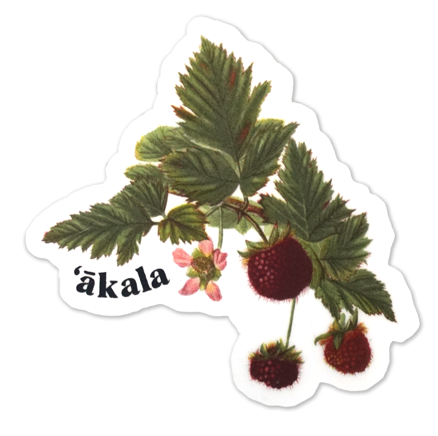 ʻĀkala Sticker