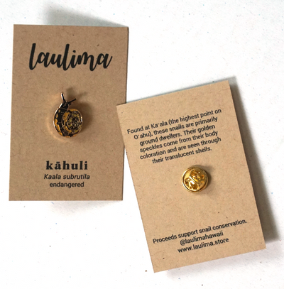 Hawaiian land snail shell pin. Native to Hawaii, specifically endemic to Oahu. Cute snail alert! Hawaii gift guide.