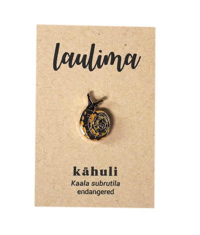 Hawaiian land snail shell pin. Native to Hawaii, specifically endemic to Oahu. Cute snail alert!