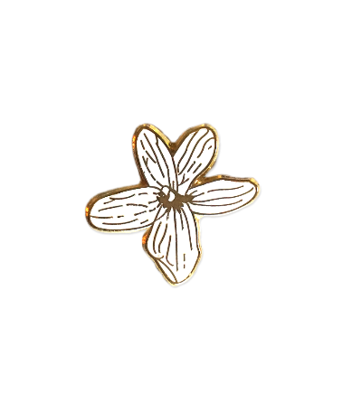 This viola flower is endemic to Hawaii. Unlike many other violas, the tropical Hawaiian viola lacks much of the purple / violet pigmentation that its relatives have. This tiny white flower is quite delicate, and the subspecies chamissoniana is quite endangered. Gold and white enamel pin.