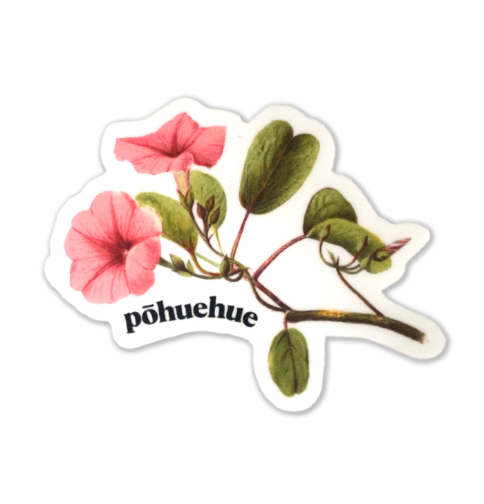 Pōhuehue, a native coastal beach morning glory, is a vine with large pink flowers that grows on sandy shores in Hawaii. This vinyl sticker is waterproof.