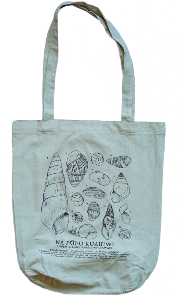 Hawaiian land snail shell layout tote bag. Tropical shells designed in a vintage antique 1800s scientific illustration style. Blue market shopping bag hand sewn with a linen cotton blend. Made in Hawaii. Hawaiian conservation, Hawaiian wildlife, endangered species, extinct species.